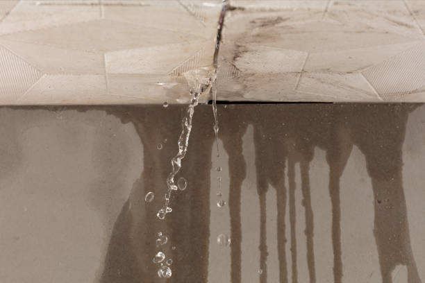 Professional Burst Pipe Cleanup technician working in Otis Orchards, WA